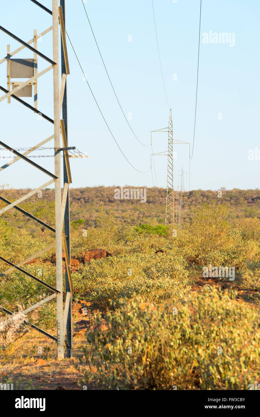 Large high voltage power lines running through the bush in Botswana
