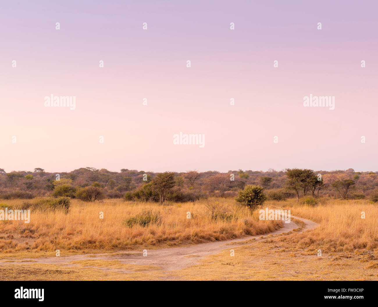 African plains landscape hi-res stock photography and images - Alamy