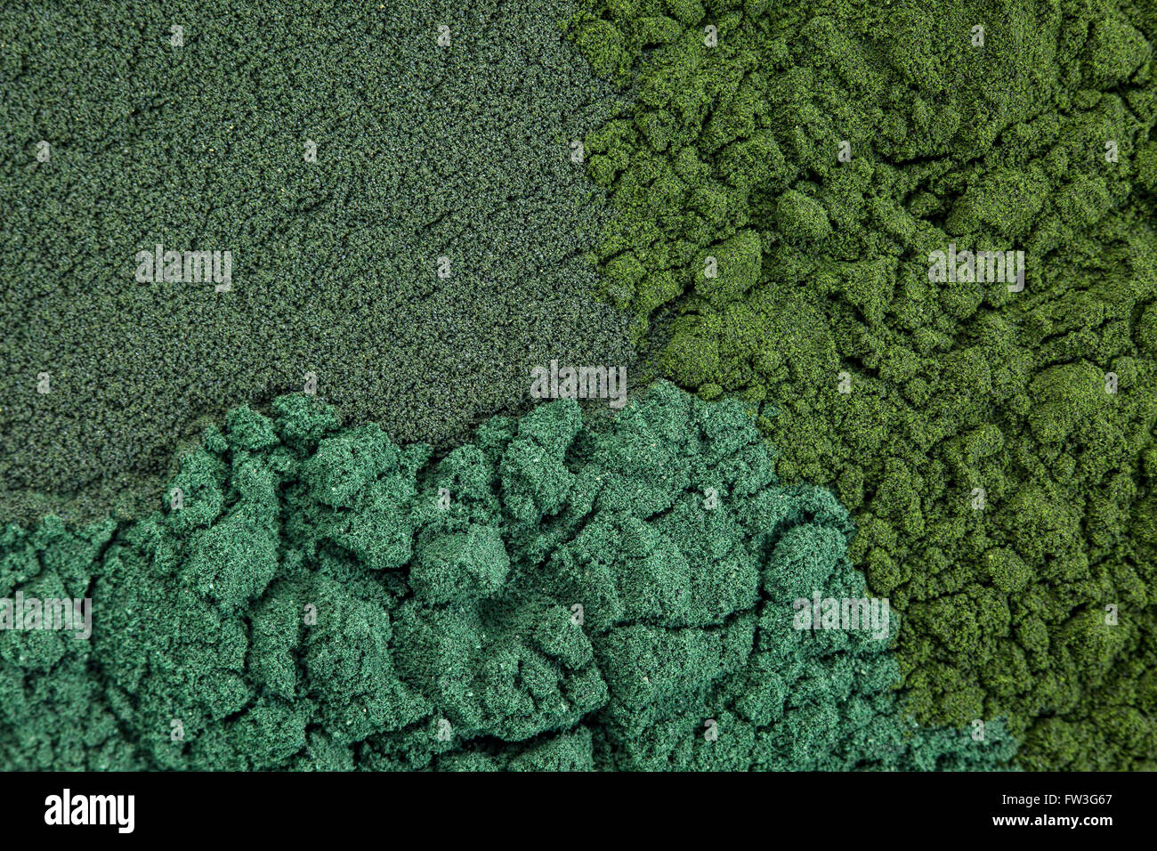 Chlorella algae hires stock photography and images Alamy