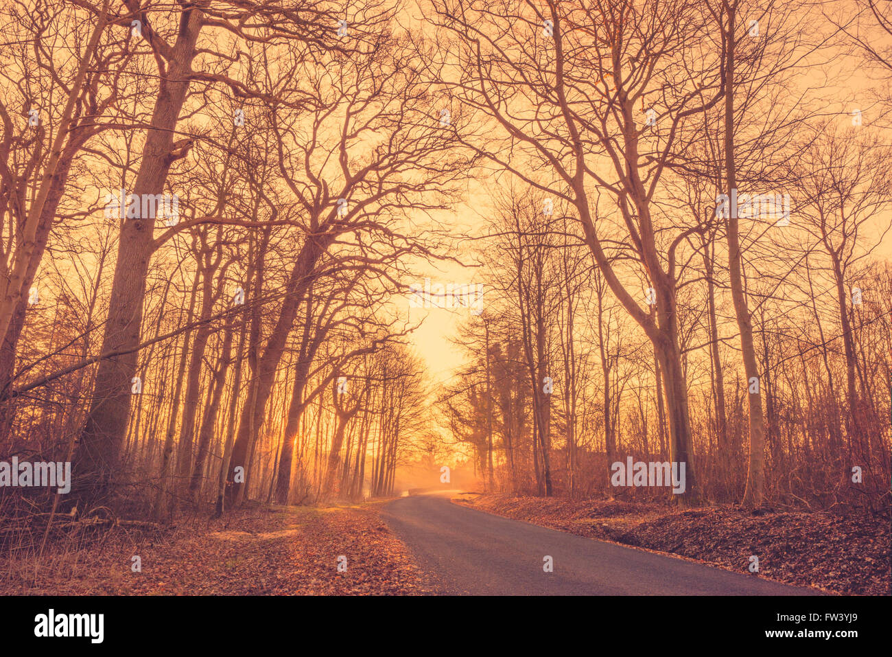 Asphalt road in misty hi-res stock photography and images - Alamy