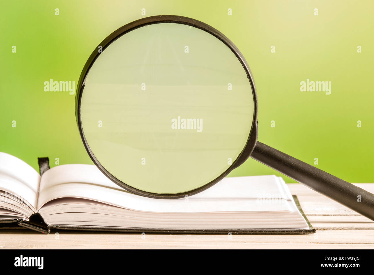 Magnifying glass on an open book with green background Stock Photo - Alamy