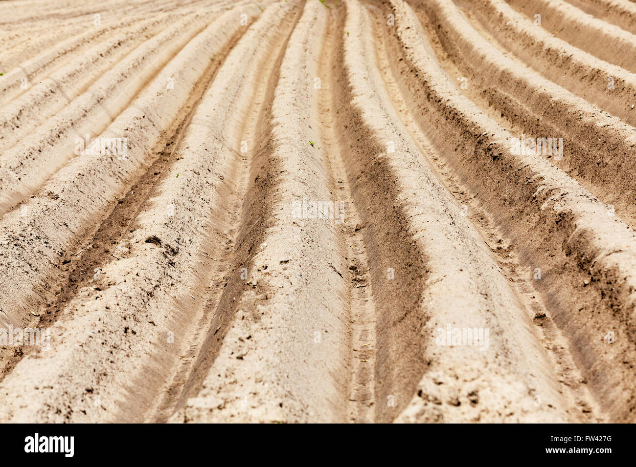 Rough farm land hi-res stock photography and images - Alamy