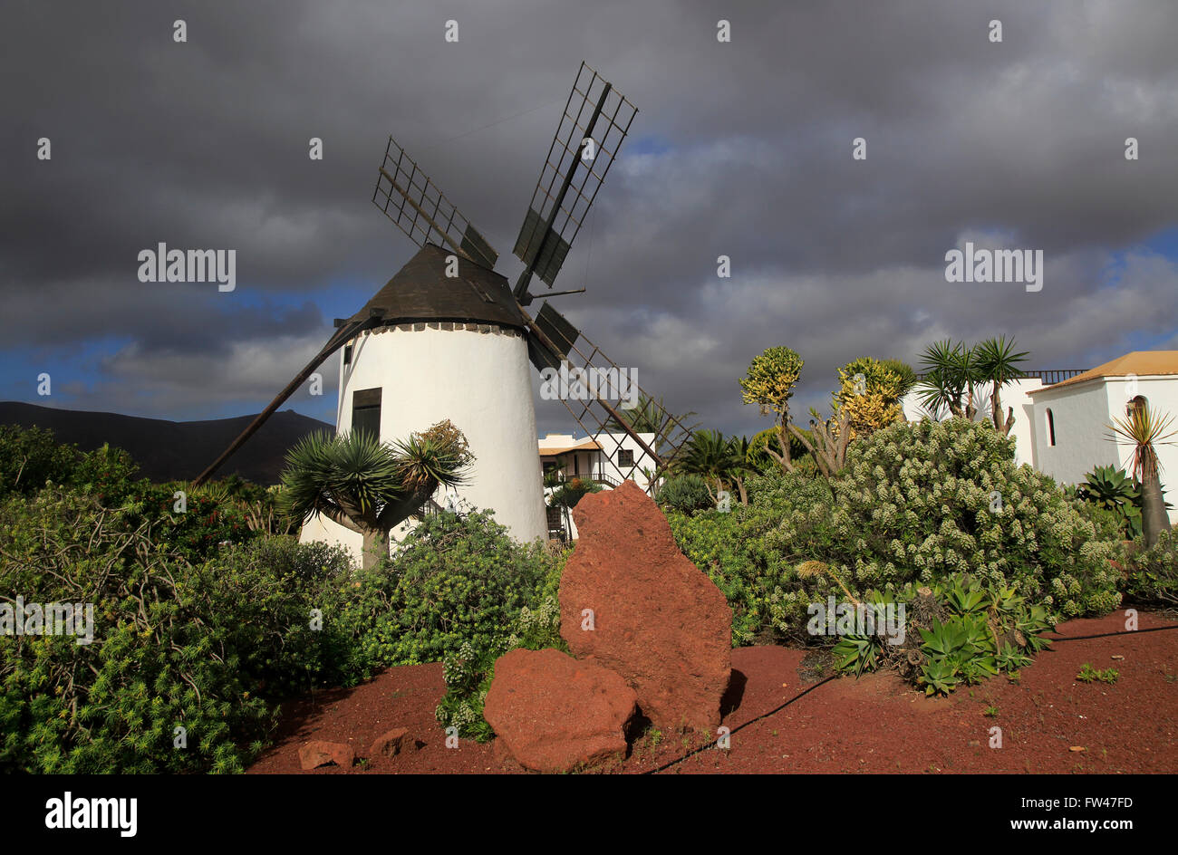 Windmill and garden at Centro de Artesania Molinos de Antigua, Fuerteventura, Canary Islands, Spain Stock Photo