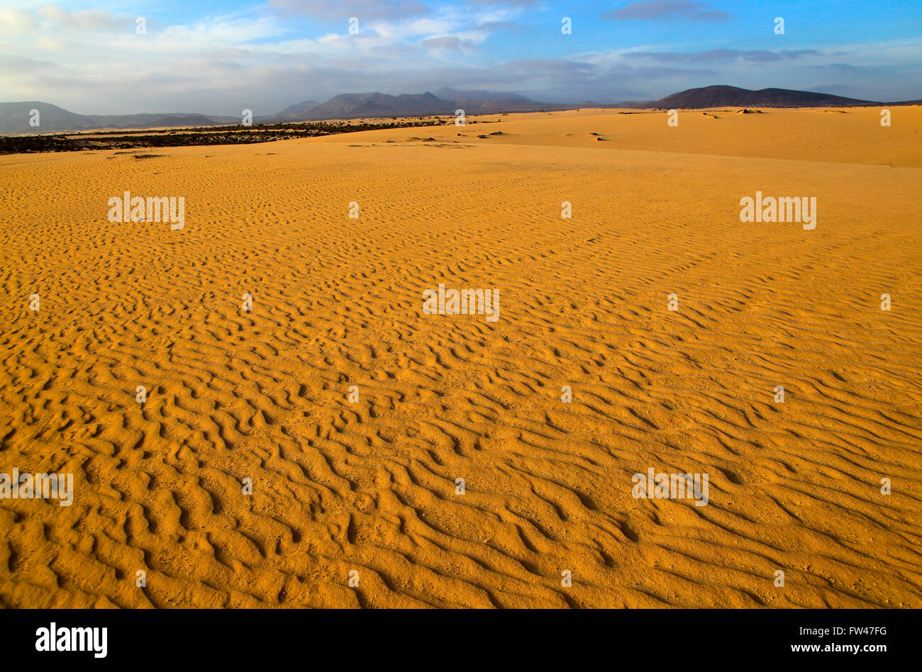 Sand dunes at Las Dunas natural park, Corralejo, Fuerteventura, Canary Islands, Spain Stock Photo