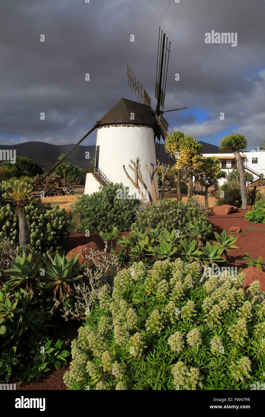 Windmill and garden at Centro de Artesania Molinos de Antigua, Fuerteventura, Canary Islands, Spain Stock Photo