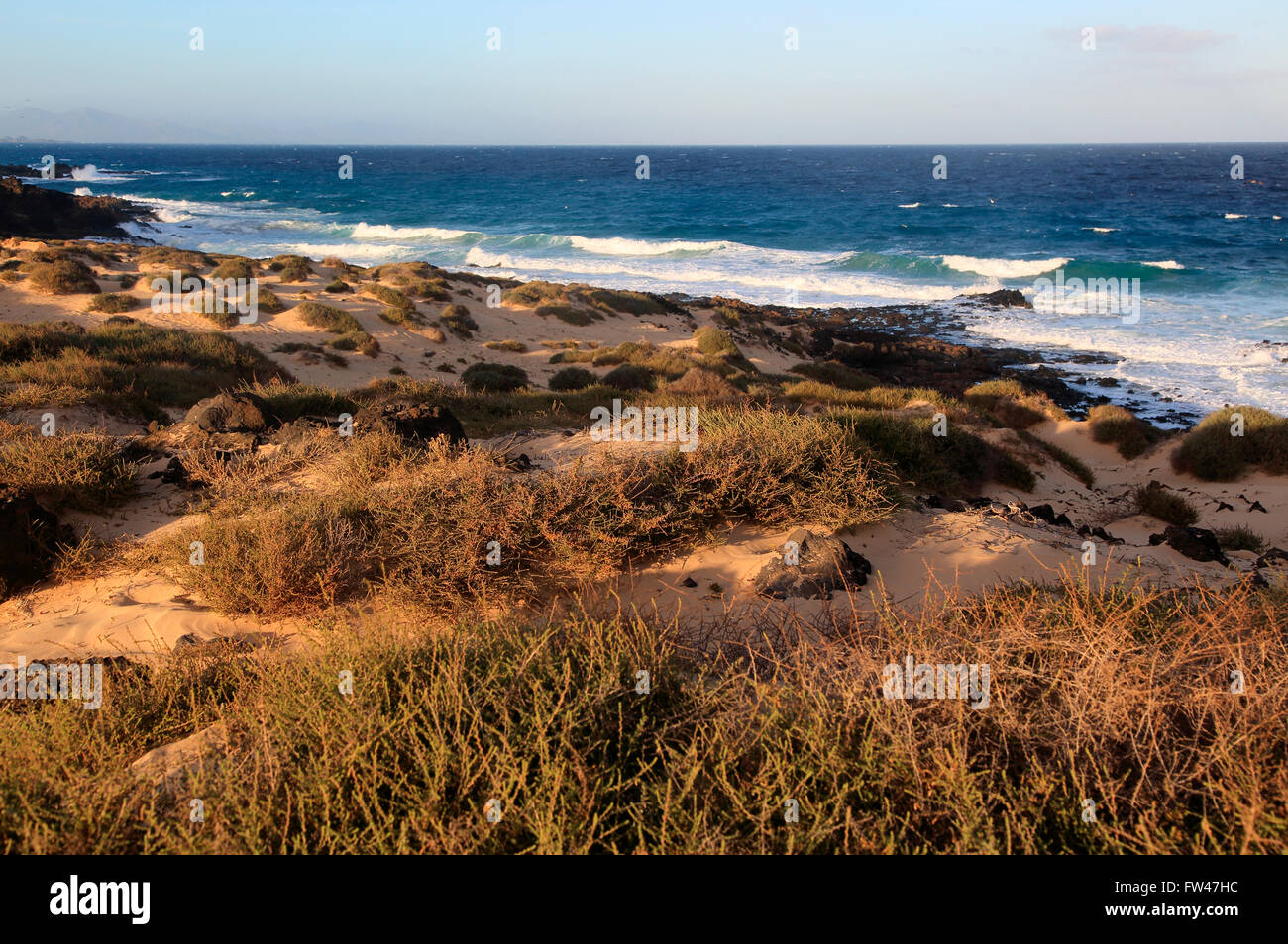 Coastal landscape sandy beach dunes, Corralejo, Fuerteventura, Canary Islands, Spain Stock Photo