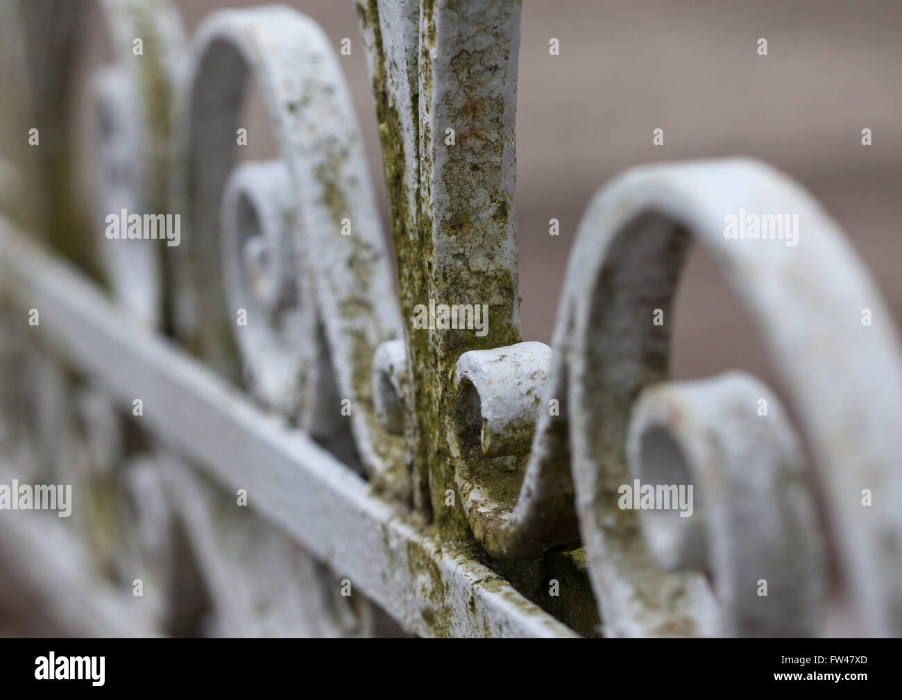 Old wrought iron fence hi-res stock photography and images - Alamy