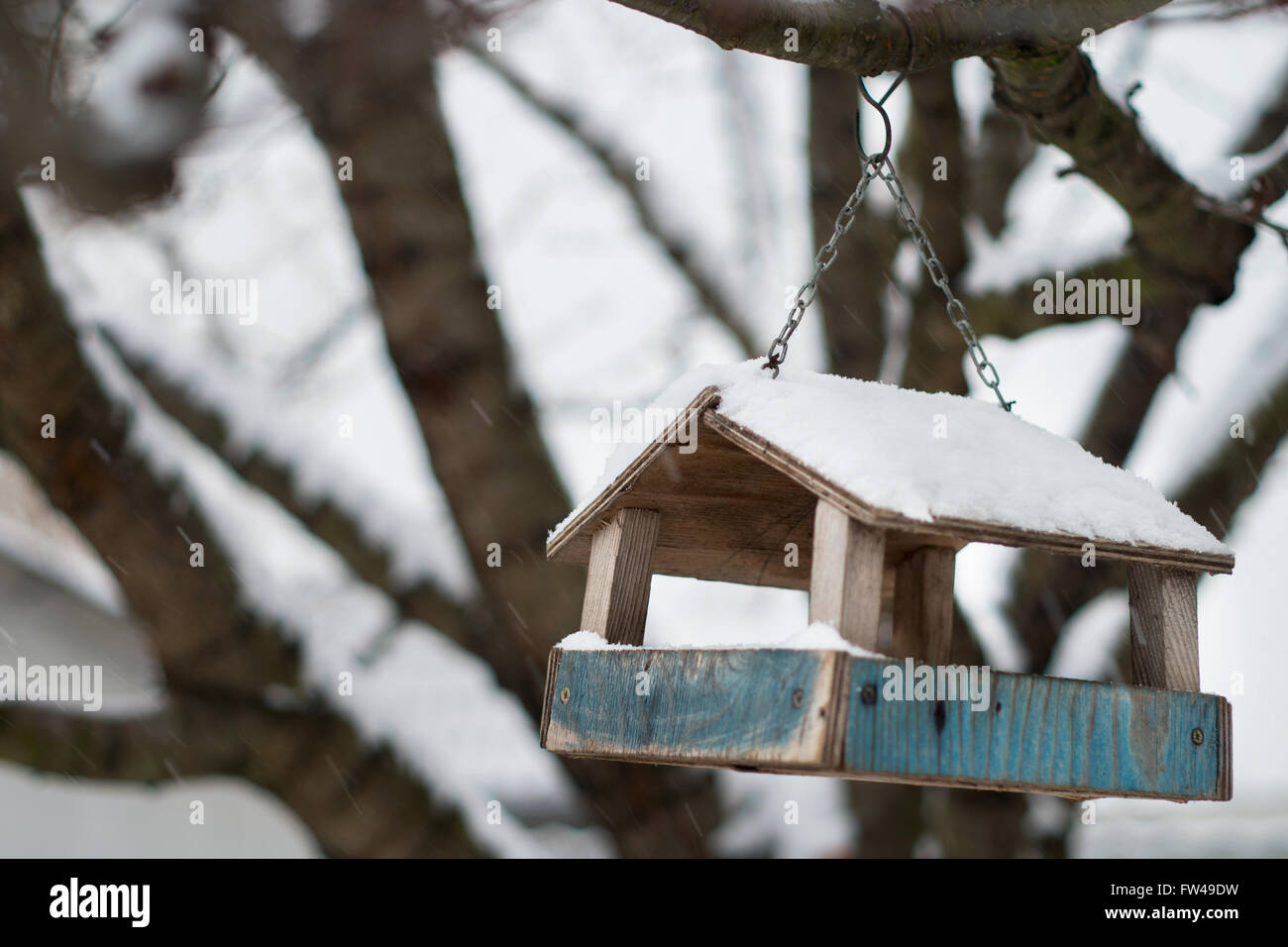 Empty bird feeder hanging from tree Stock Photo Alamy