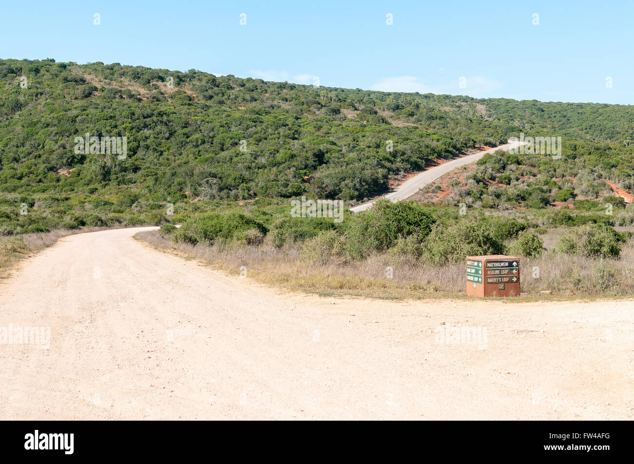 ADDO ELEPHANT NATIONAL PARK, SOUTH AFRICA - FEBRUARY 23, 2016: A typical landscape in the Addo Elephant National Park Stock Photo