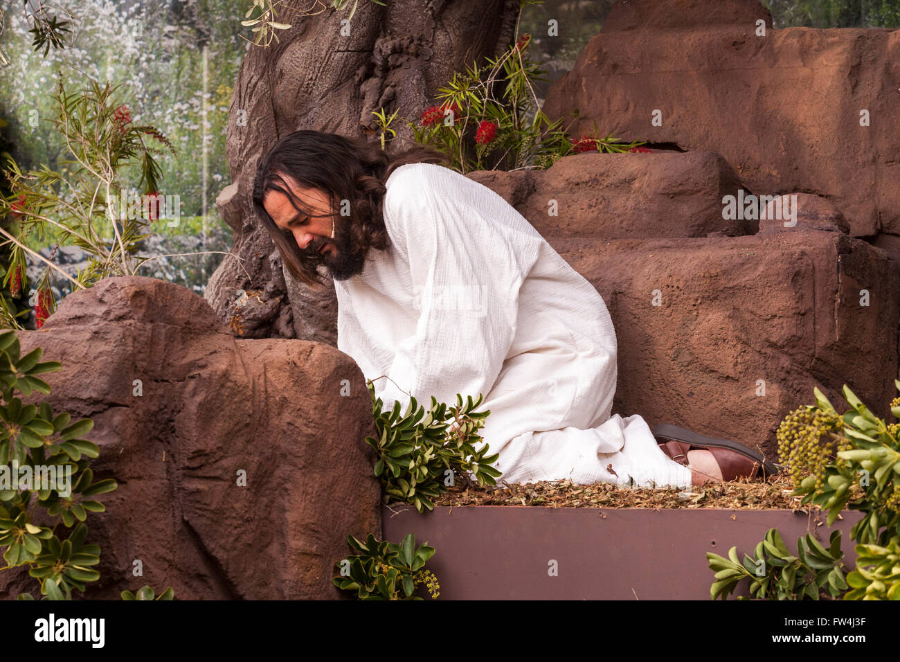 Jesus in the garden of Gethsamene, Passion play, Adeje, Tenerife, Canary Islands, Spain. Representacion de la Pasion. Adeje. 25 Stock Photo
