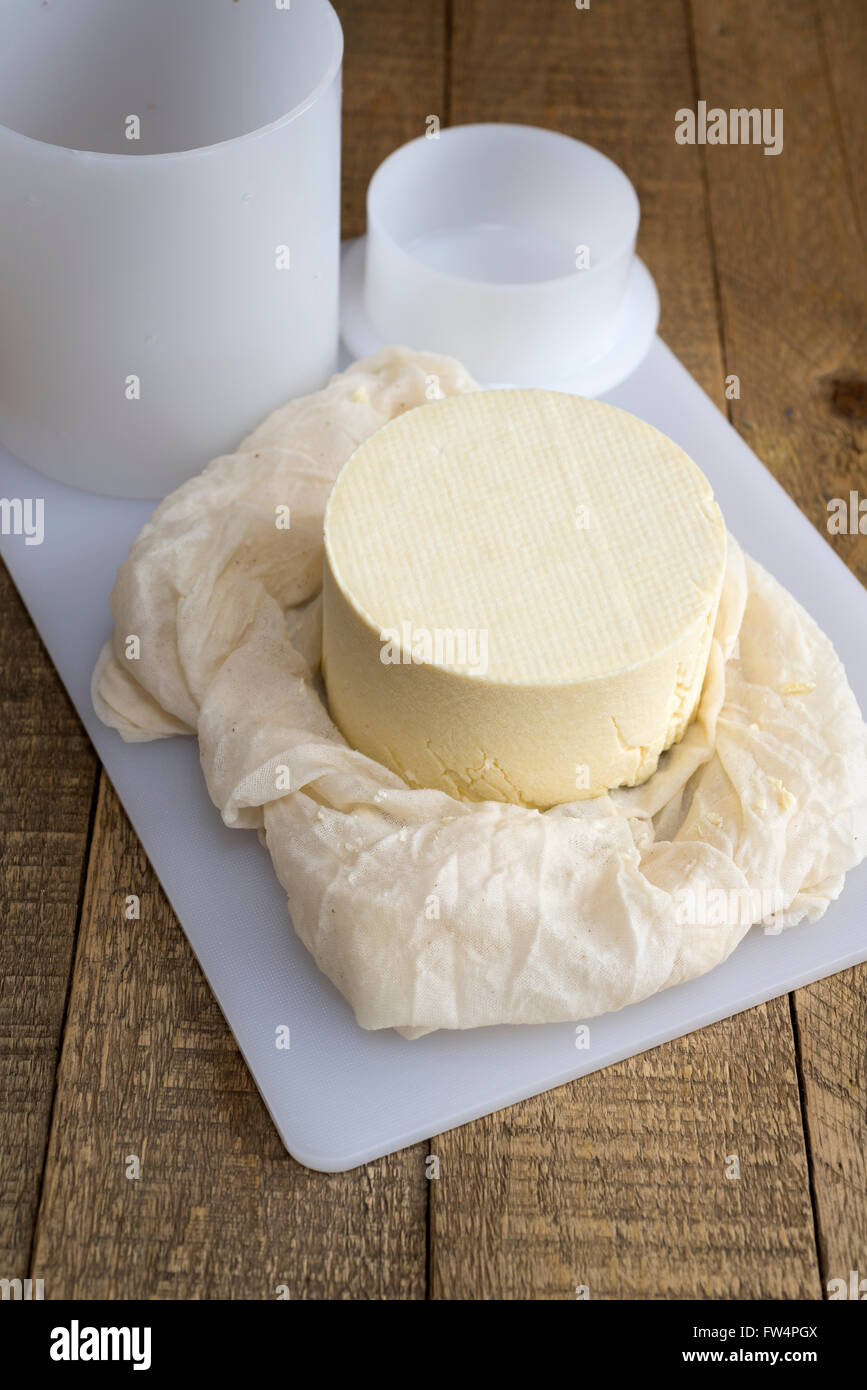 Truckle of homemade Cheshire cheese, just removed from its mould Stock