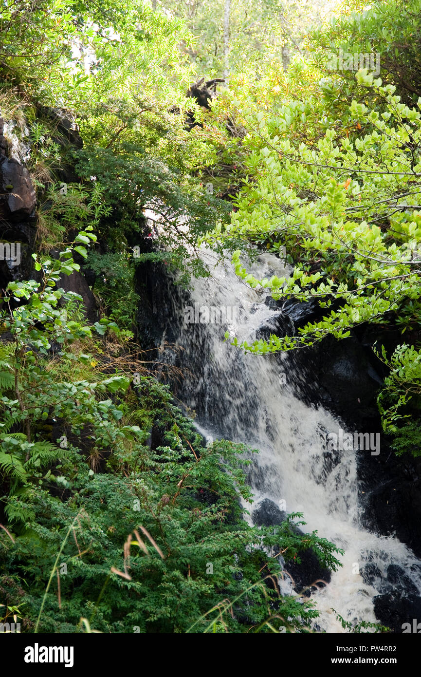 Waterfall in the Highlands of Scotland Stock Photo