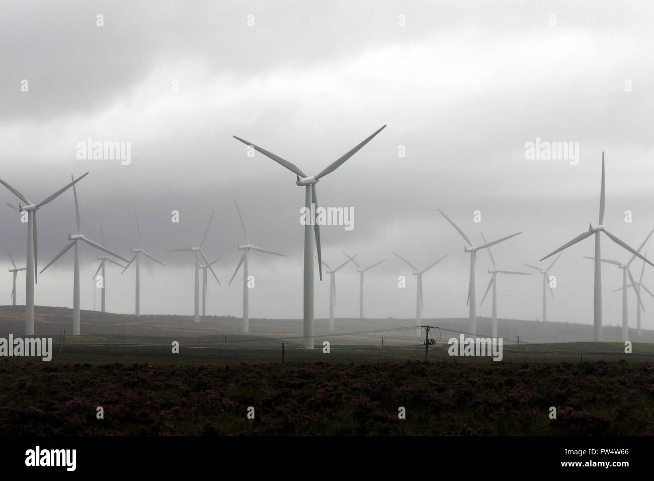 Wind Farm, Scotland Stock Photo