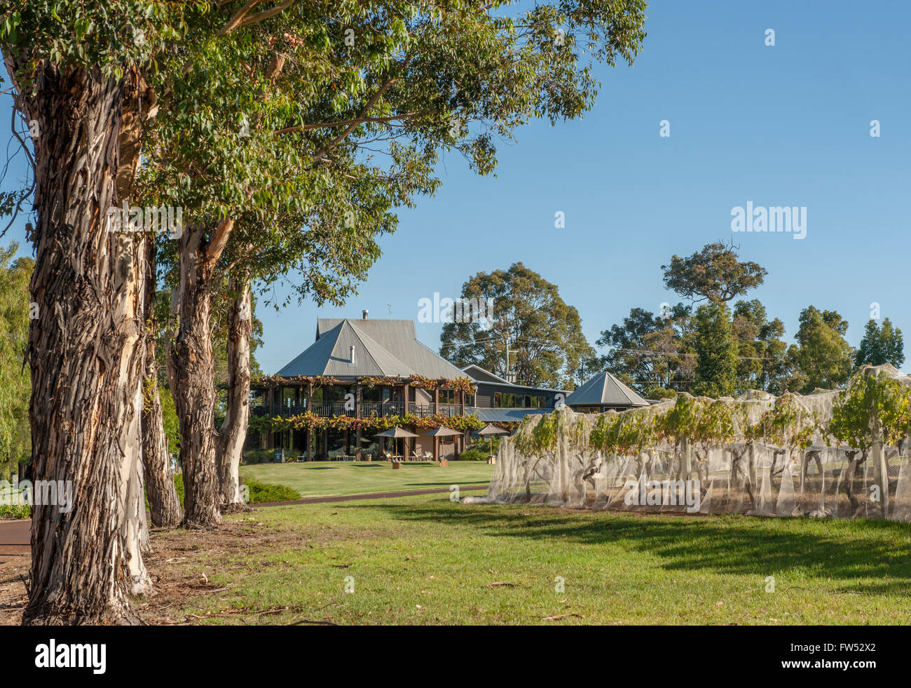 Homestead and vineyard of Vasse Felix, the oldest winery in the Margaret River region, Cowaramup, Western Australia Stock Photo
