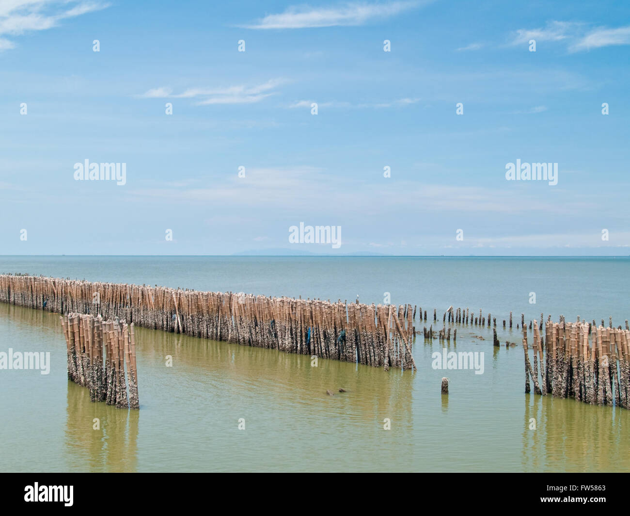 Jetty Fencing Bamboo jetty hi-res stock photography and images - Alamy