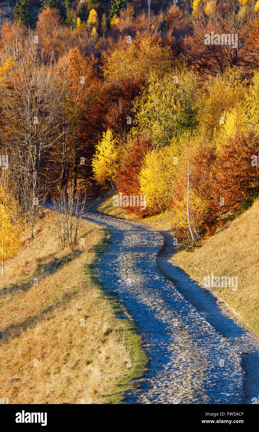 Rural road in autumn misty mountain and colorful trees on slope Stock ...