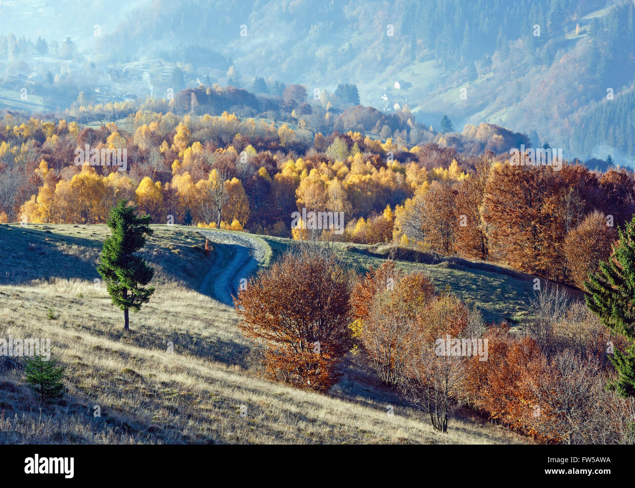 Rural road in autumn misty mountain and colorful trees on slope Stock ...