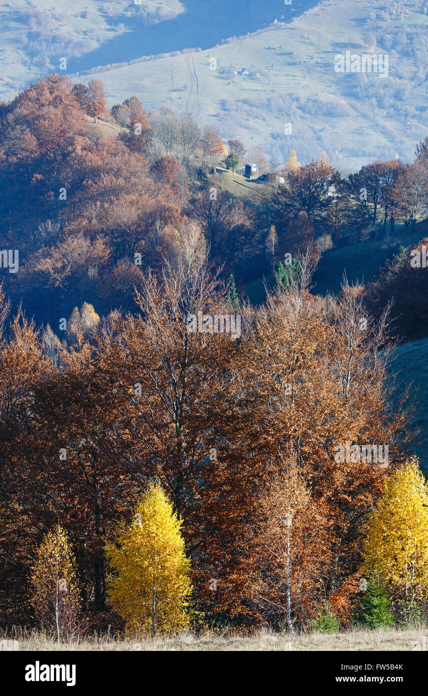 Colorful trees on slope and autumn misty mountain behind Stock Photo ...