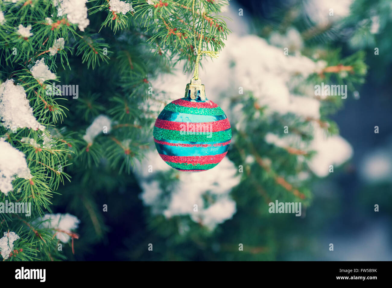 Covered with snow fir tree branch decorated with christmas ball Stock ...