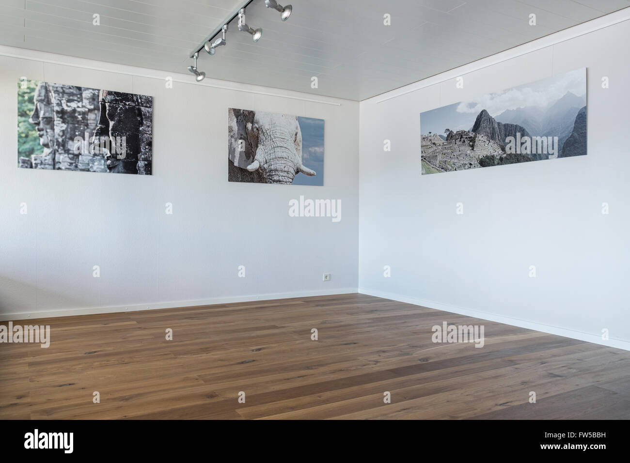 Empty room with parquet floor and individual posters hanging on the wall Stock Photo