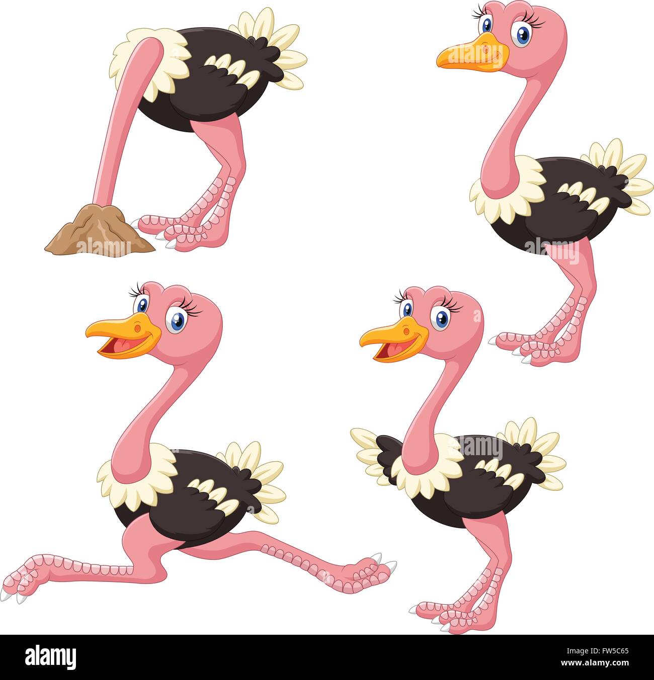 Cartoon funny ostrich collection set Stock Vector Image & Art - Alamy