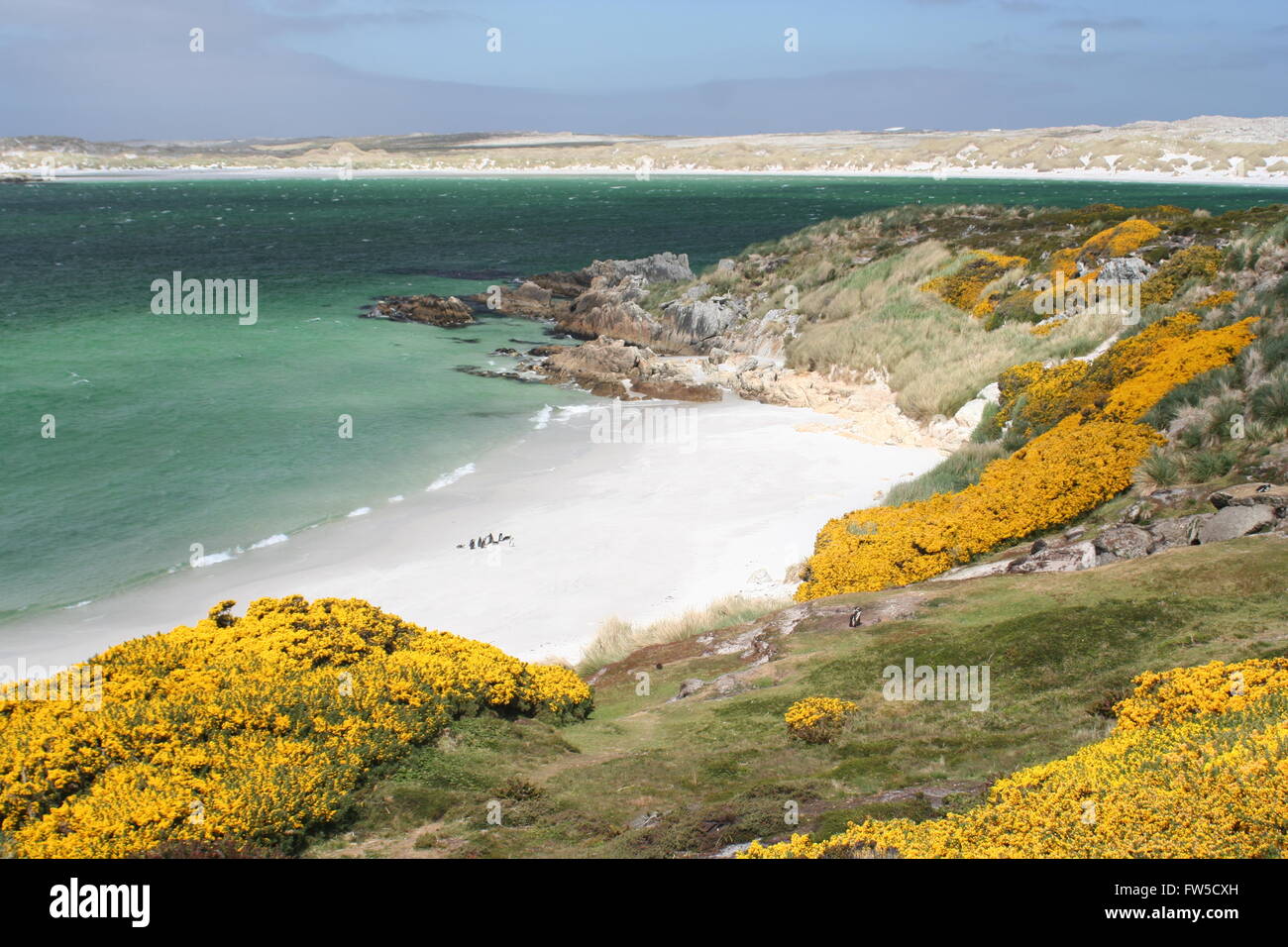 Stanley falkland islands colours hires stock photography and images