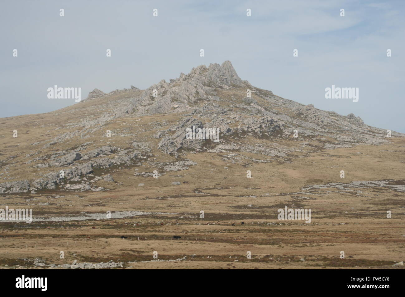 Mount Harriet Falkland Islands British Overseas Territory Stock Photo