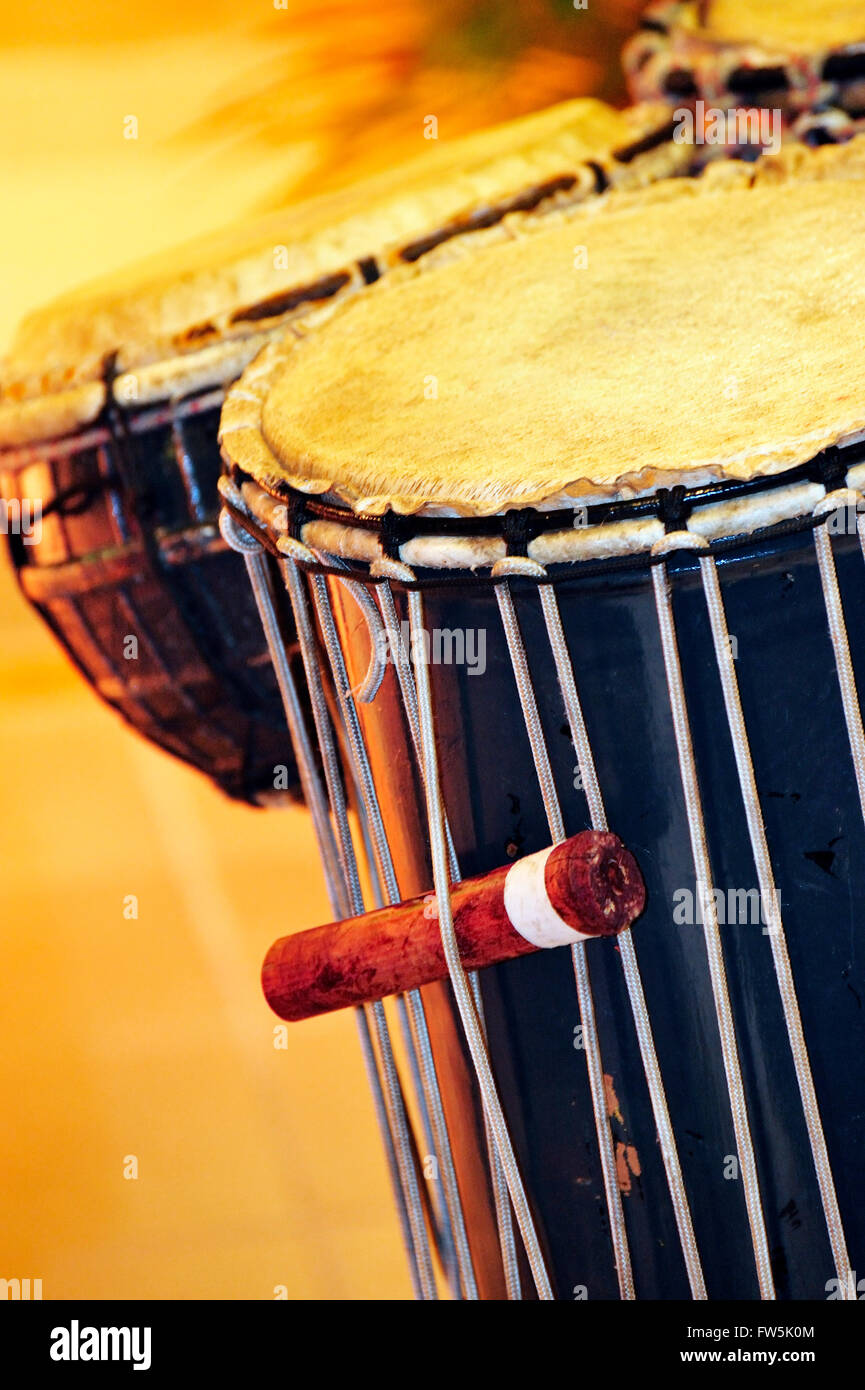 bamboo stick tightening cords on large djembe / djumbe drum from South-west Africa / Mauritius; dununba (large drum). Sega is the national song and dance of Mauritius, extremely versatile. Accompanied by distinct instruments providing rhythm only without melody, such as the ravane (a thin, wide drum of goat's skin), the maravane (pebble-filled box rattling when shaken) and the triangle, the singer sings about the tribulations of love or the humorous side of life. Stock Photo