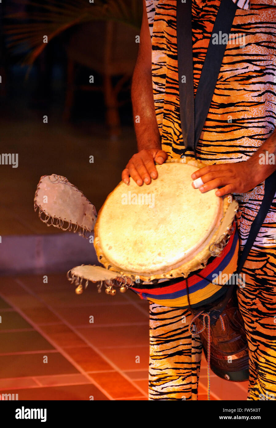 Mauritian djembe / djumbe drum with ears; from South-west Africa; sangban (medium drum). Note the 'ears' that rattle. Sega is the national song and dance of Mauritius, extremely versatile. Accompanied by distinct instruments providing rhythm only without melody, such as the ravane (a thin, wide drum of goat's skin), the maravane (pebble-filled box rattling when shaken) and the triangle, the singer sings about the tribulations of love or the humorous side of life. Stock Photo