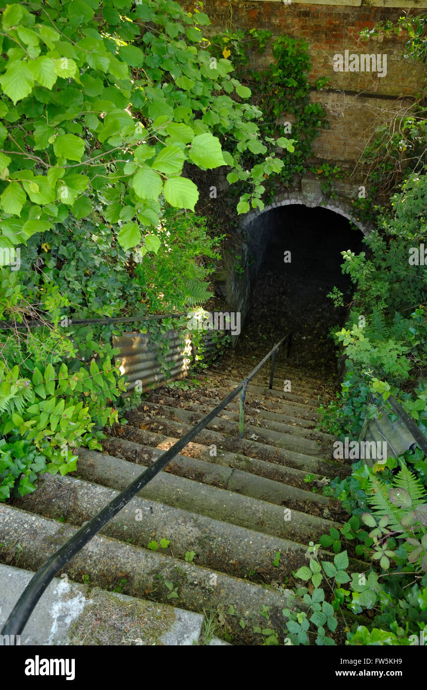 Gad's Hill Place, Higham, above Rochester, Kent the tunnel under the Stock Photo 101543381 Alamy