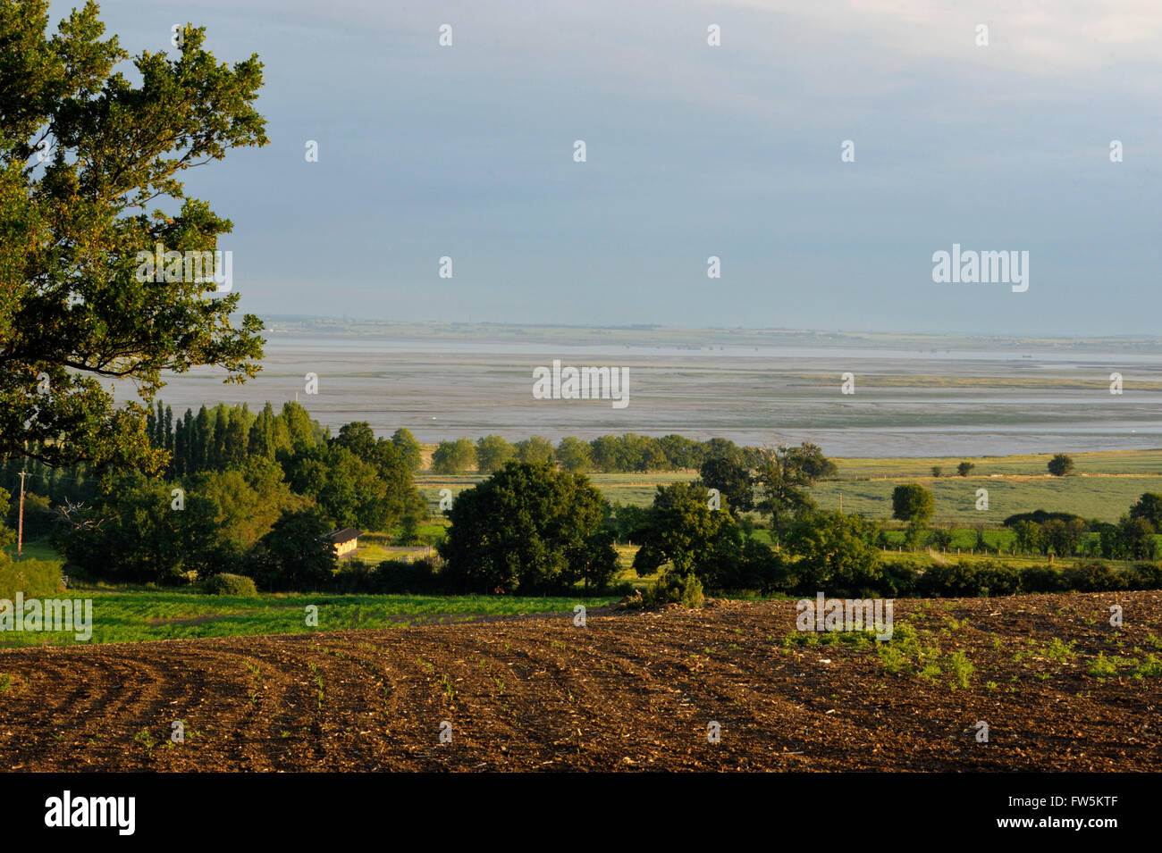 Medway marshes from above hires stock photography and images Alamy