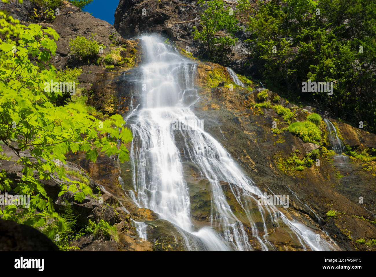 Flowing water trees leaves hi-res stock photography and images - Alamy