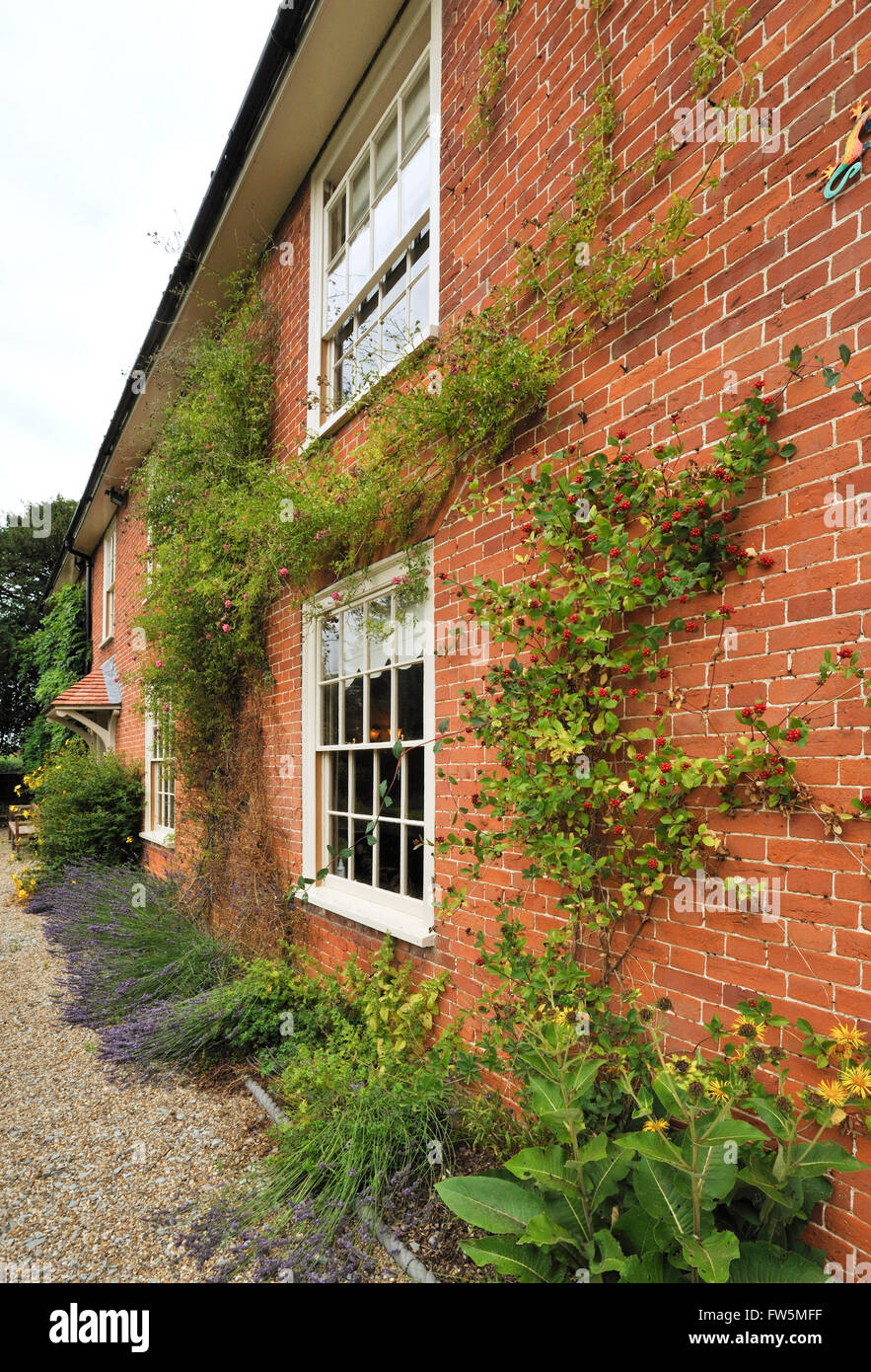 The Rookery, Blundeston near Lowestoft, Suffolk. The house described as