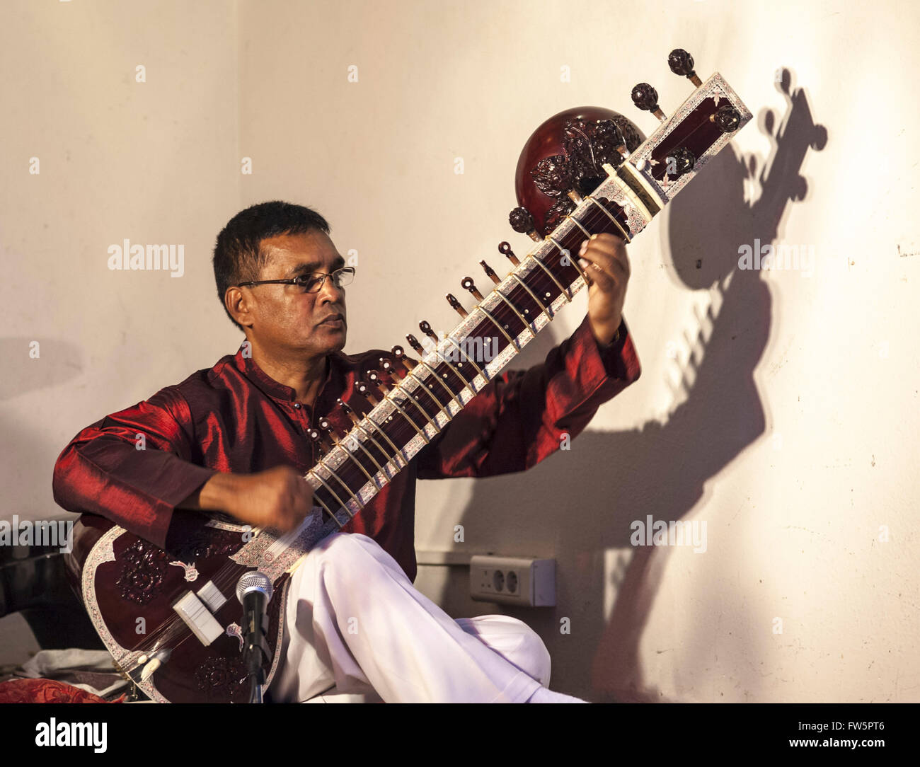 Sitar player ( Indian), playing ornamental instrument. The tuning pegs are prominent. The sitar is the traditional plucked Stock Photo