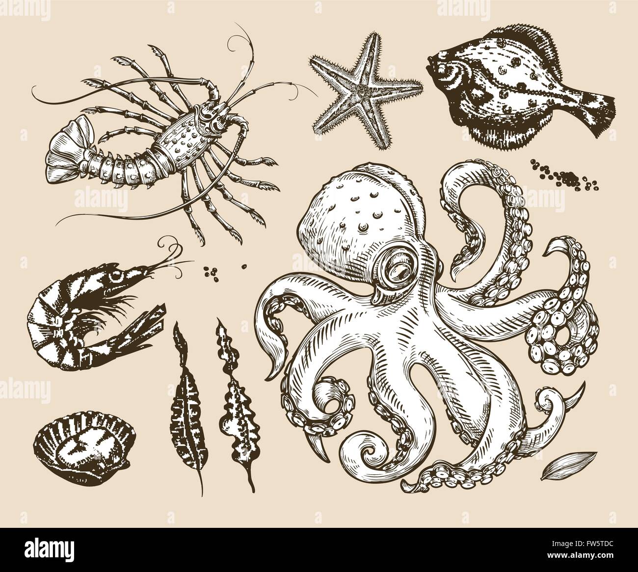 Hand drawn sketch set sea animals, seafood. Vector illustration Stock Vector