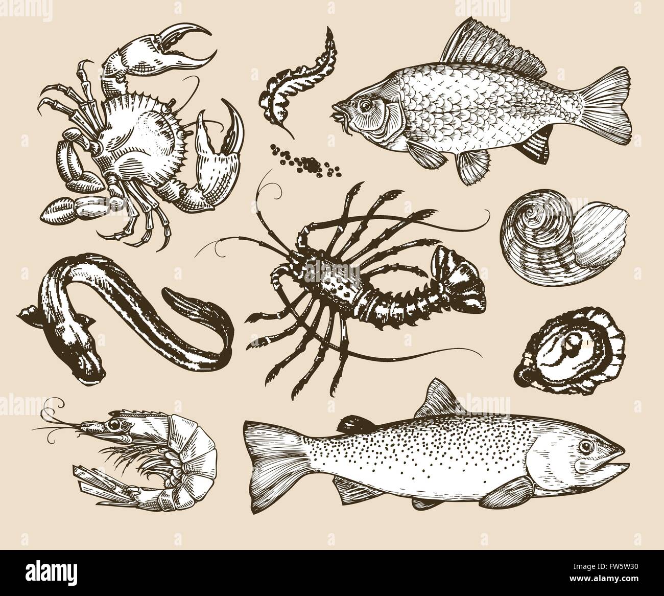 Hand drawn sketch set seafood. Vector illustration Stock Vector Image