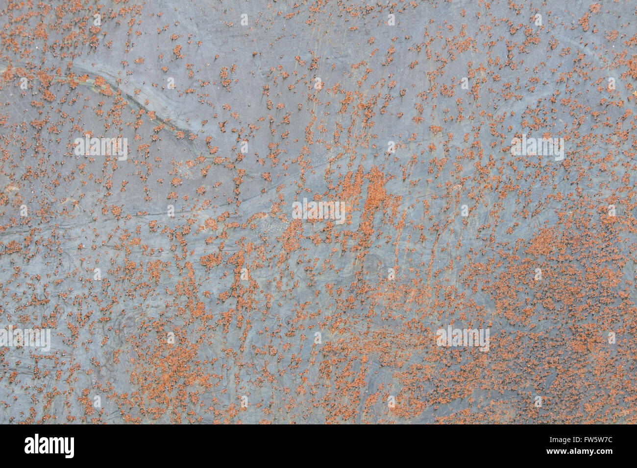 Rust on metal surfaces Caused by a reaction of metal and air humidity