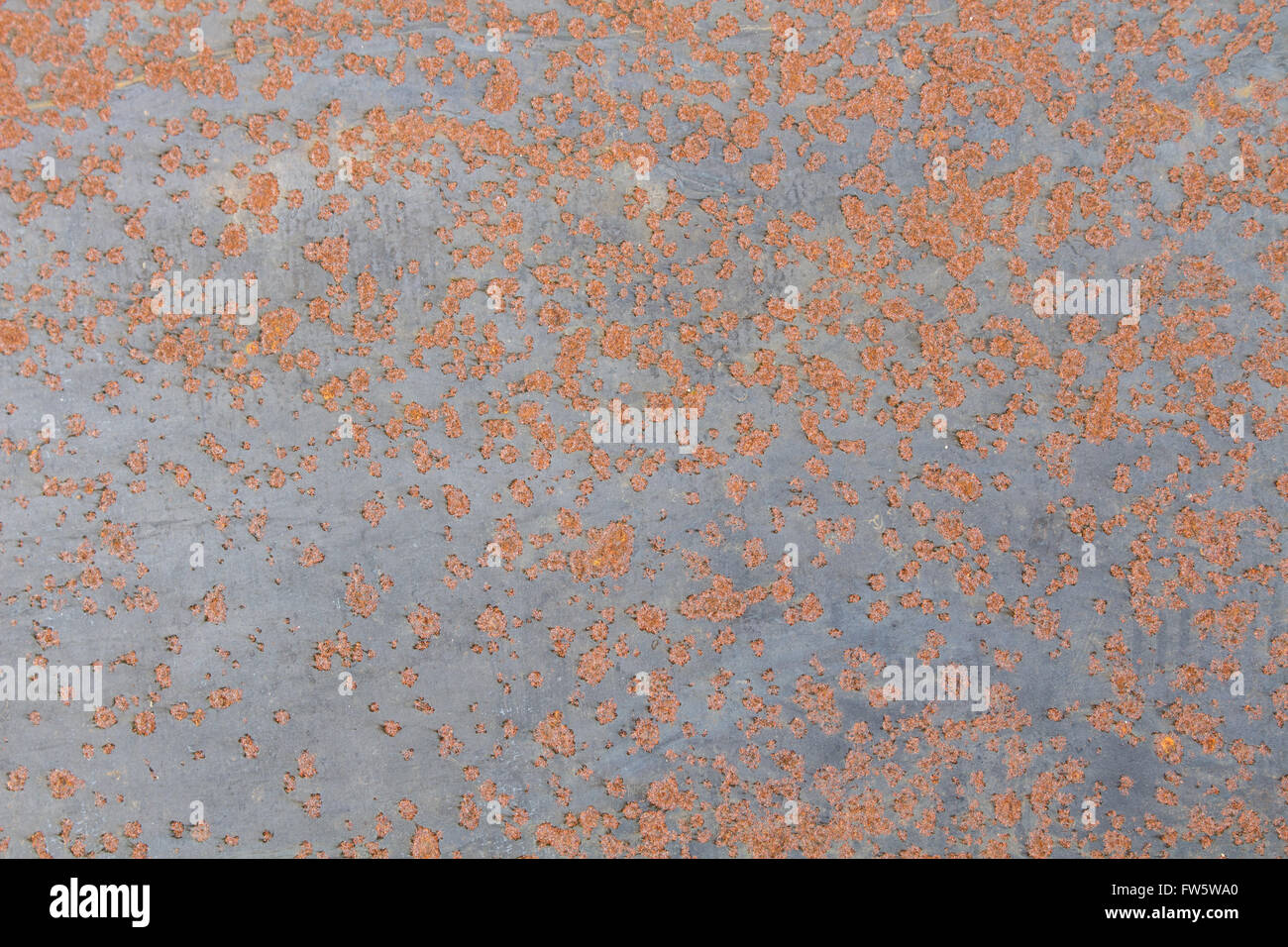 Rust on metal surfaces Caused by a reaction of metal and air humidity ...