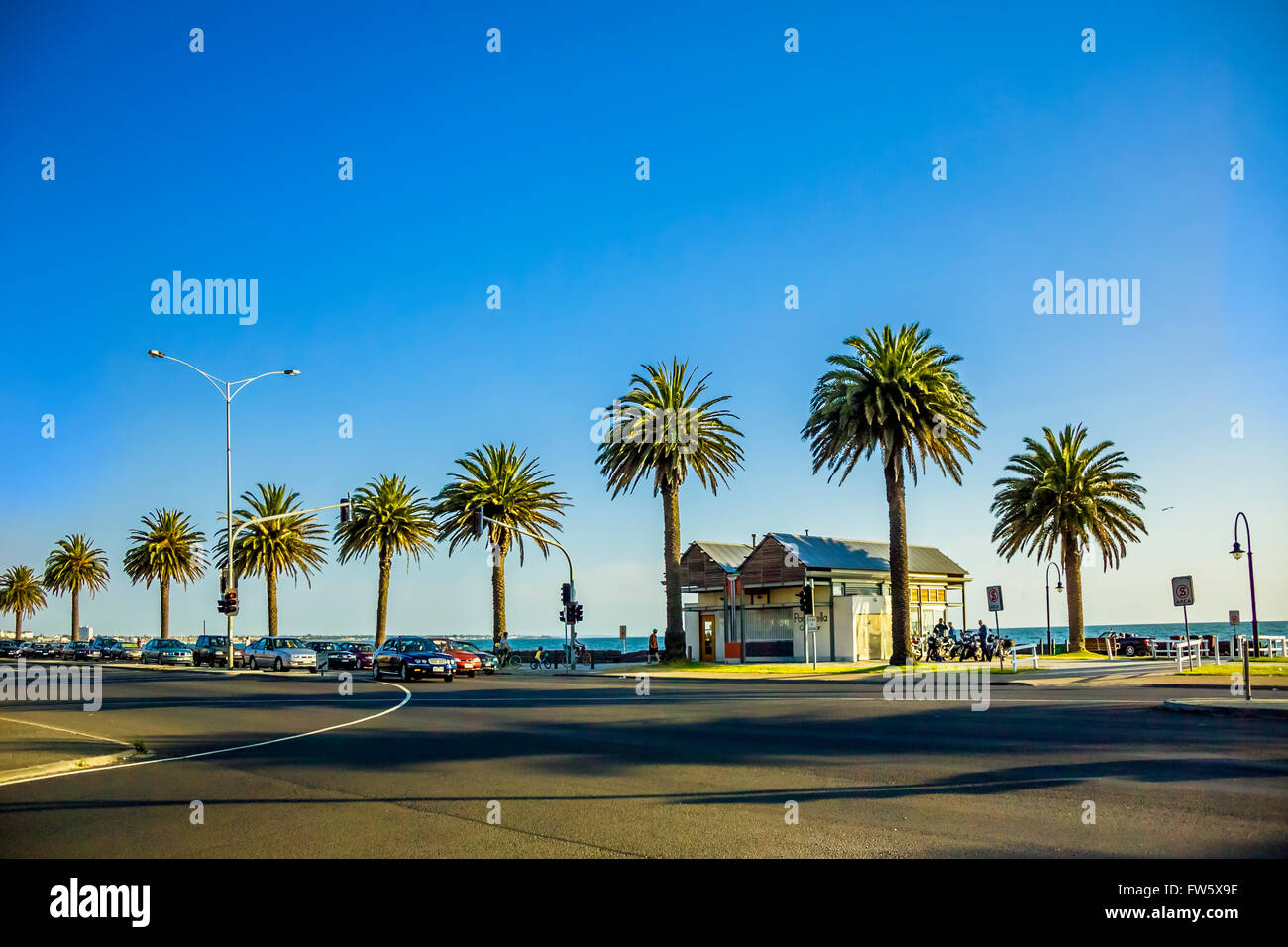 Palm trees along the seafront at Albert Park, Melbourne Australia Stock