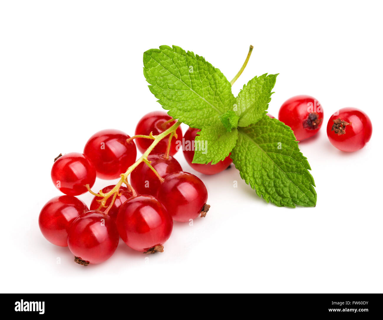 Ripe red currant with fresh mint leaves isolated on white Stock Photo