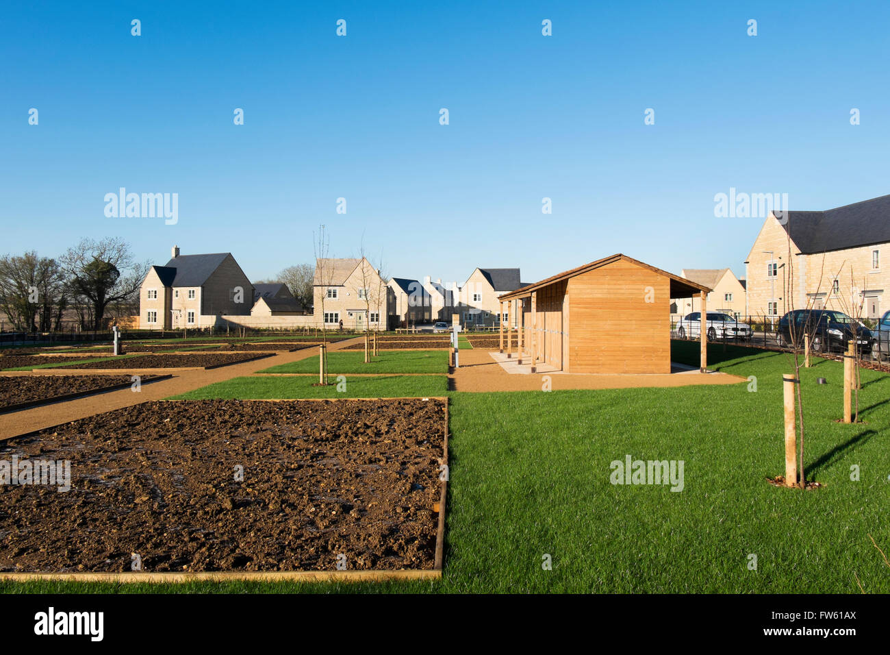 Allotments on a new housing development on the outskirts of Cotswold