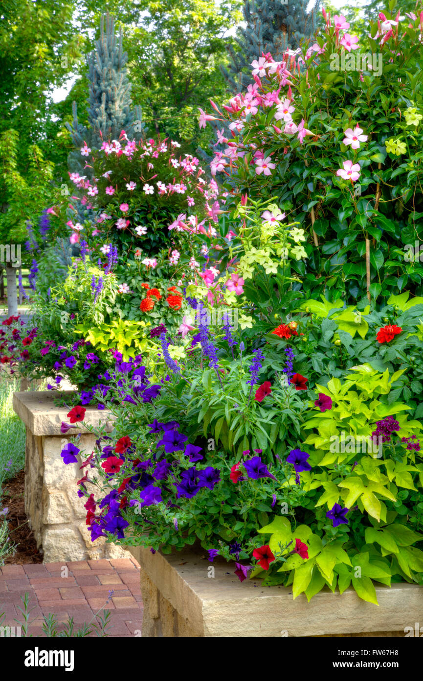Annuals planted in flower pots Stock Photo