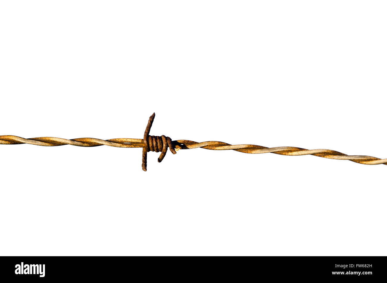 Detail of a rusty barb wire isolated on white background Stock Photo