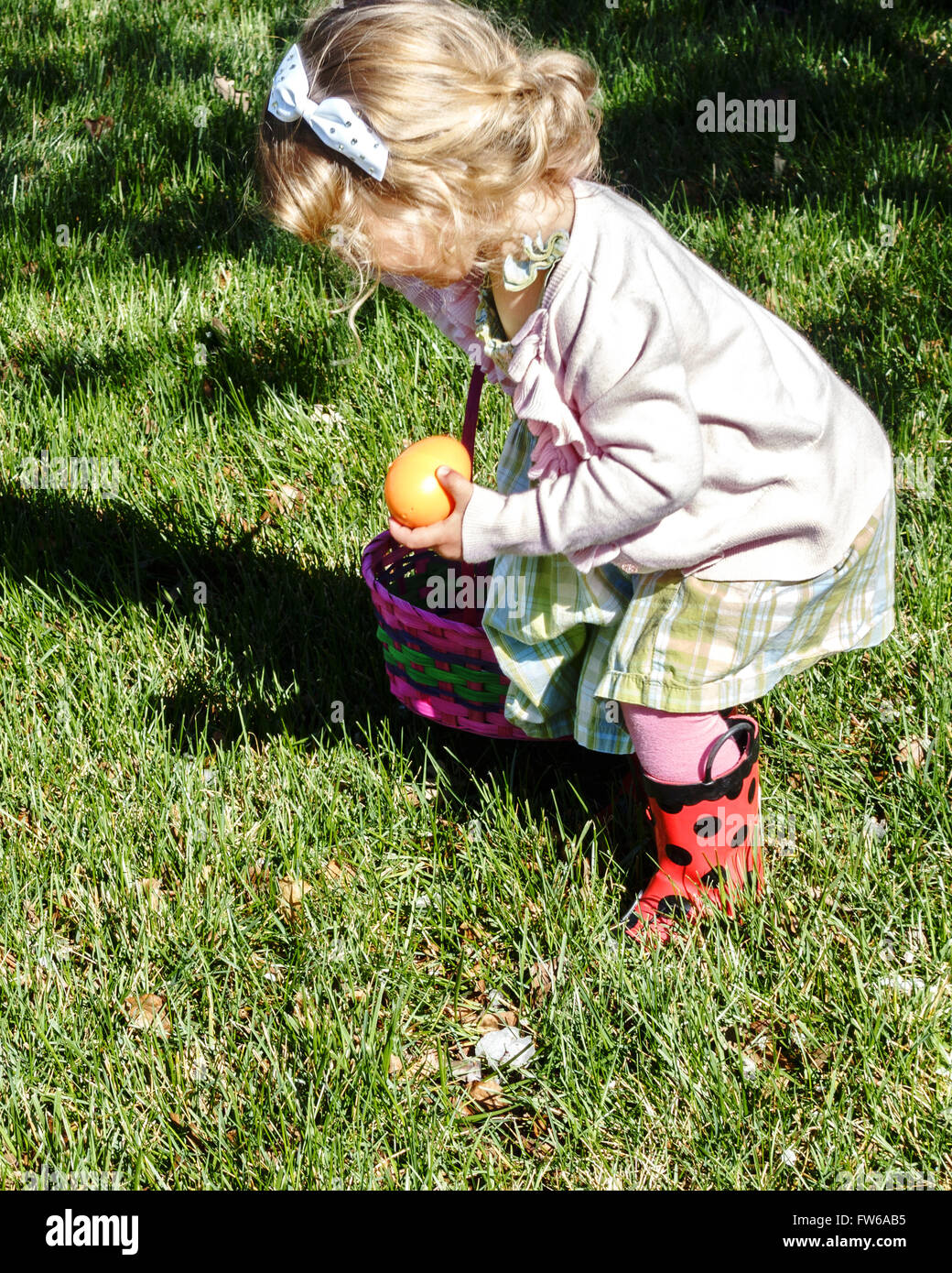 A two year old Caucasian toddler girl hunts Easter eggs outdoors