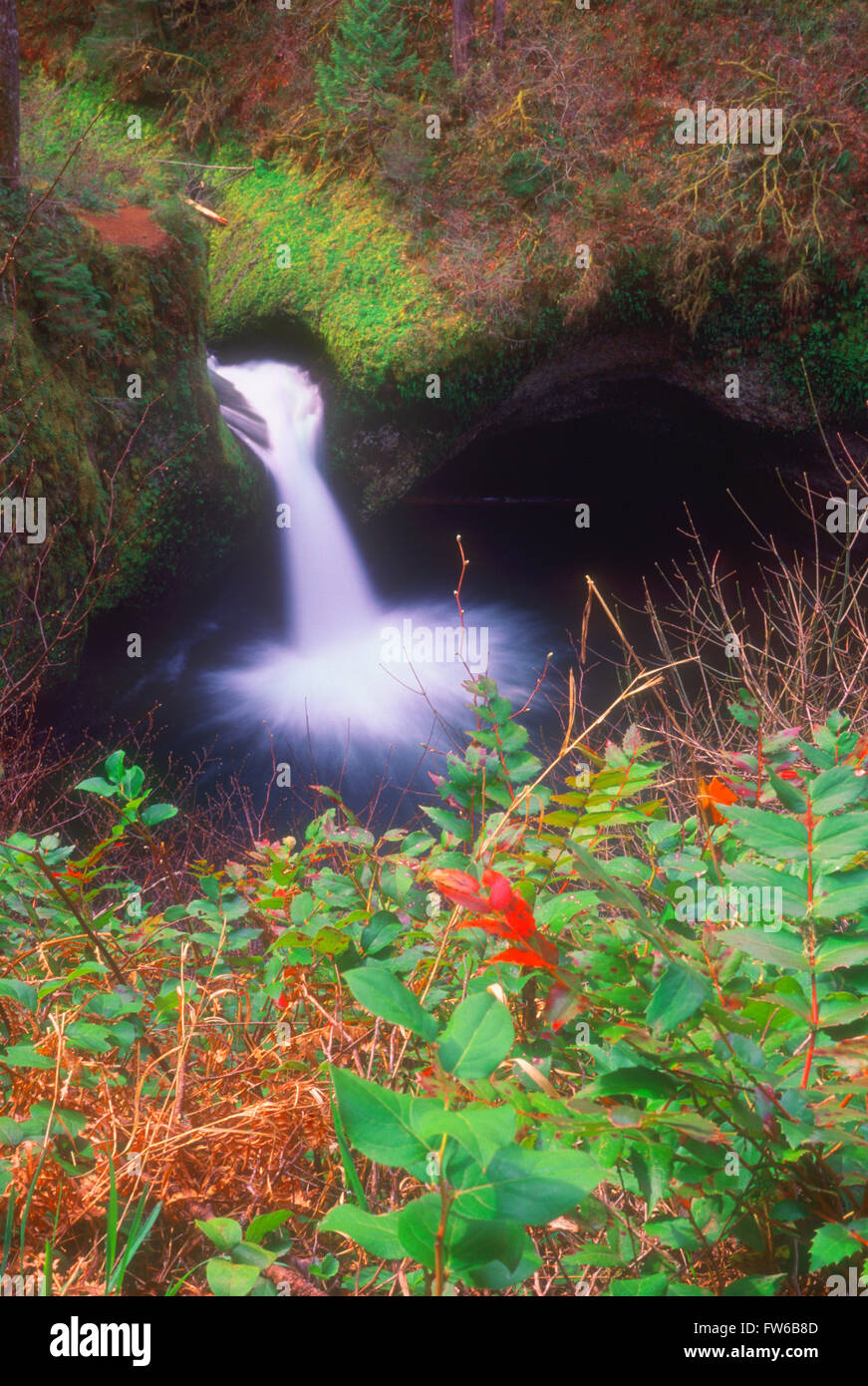 Punch Bowl Falls, Columbia River Oregon, U.S.A Stock Photo Alamy