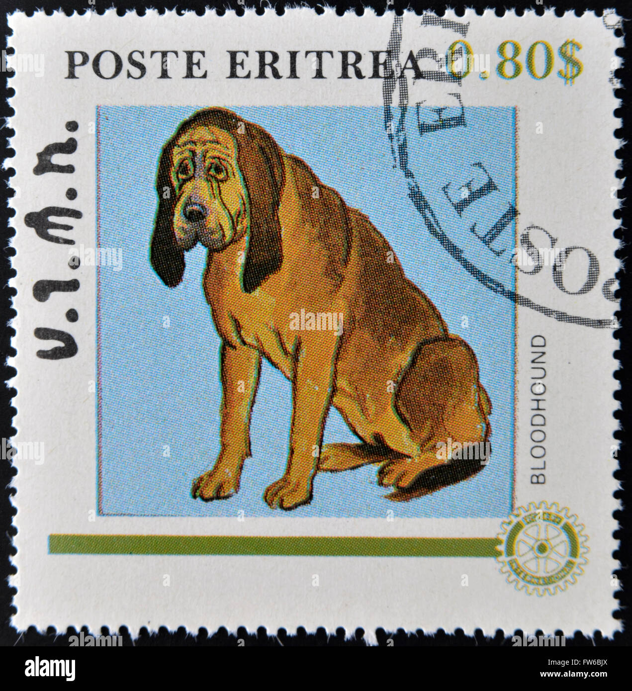 ERITREA - CIRCA 1984: A stamp printed in Eritrea shows a dog, bloodhound, circa 1984 Stock Photo
