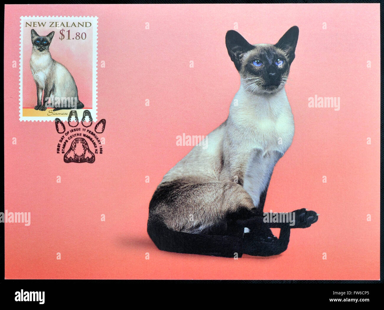 NEW ZEALAND CIRCA 1998 stamp printed in New Zealand shows Domestic