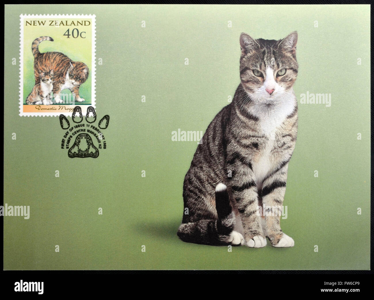 NEW ZEALAND - CIRCA 1998: stamp printed in New Zealand shows Domestic Cat, domestic moggy, circa 1998 Stock Photo