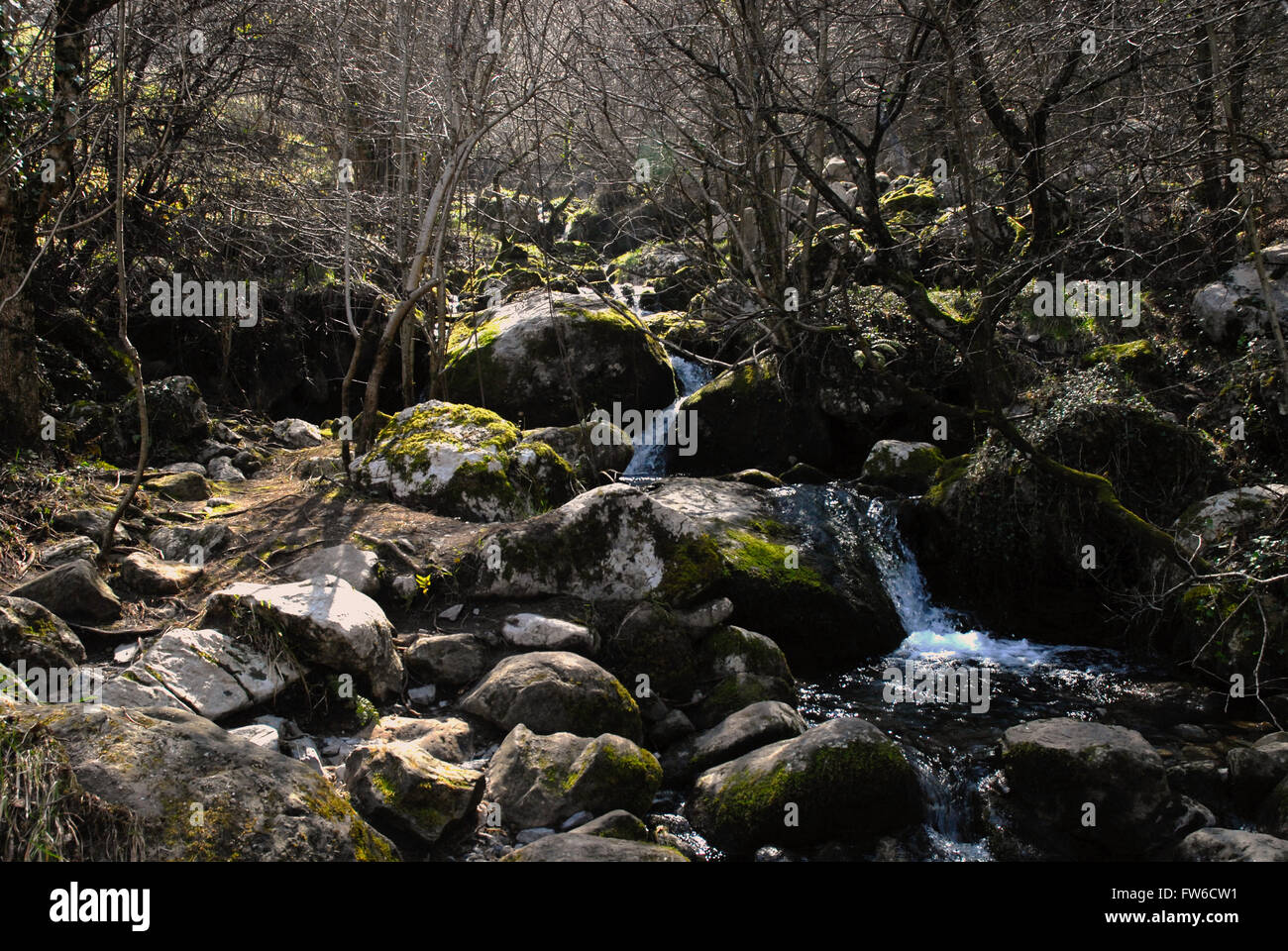 photo taken from this beautiful setting , where you can see a stream that passes by stones covered by moss, Stock Photo