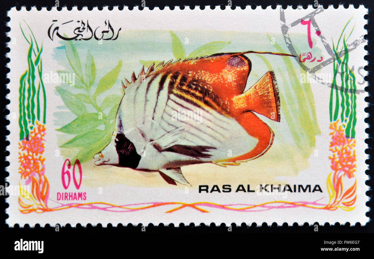 RAS AL-KHAIMAH - CIRCA 2006: A stamp printed in Ras al-Khaimah shows a fish, Chaetodon auriga, Threadfin butterflyfish, circa 20 Stock Photo